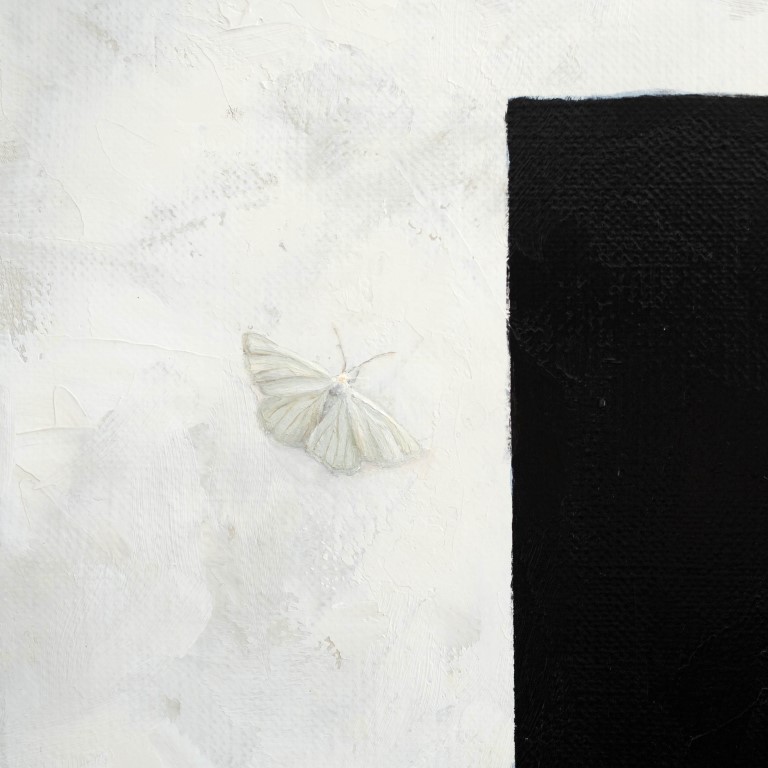 Obraz Suprematka Piotr Cieślewicz commonp.art zbliżenie ćmy